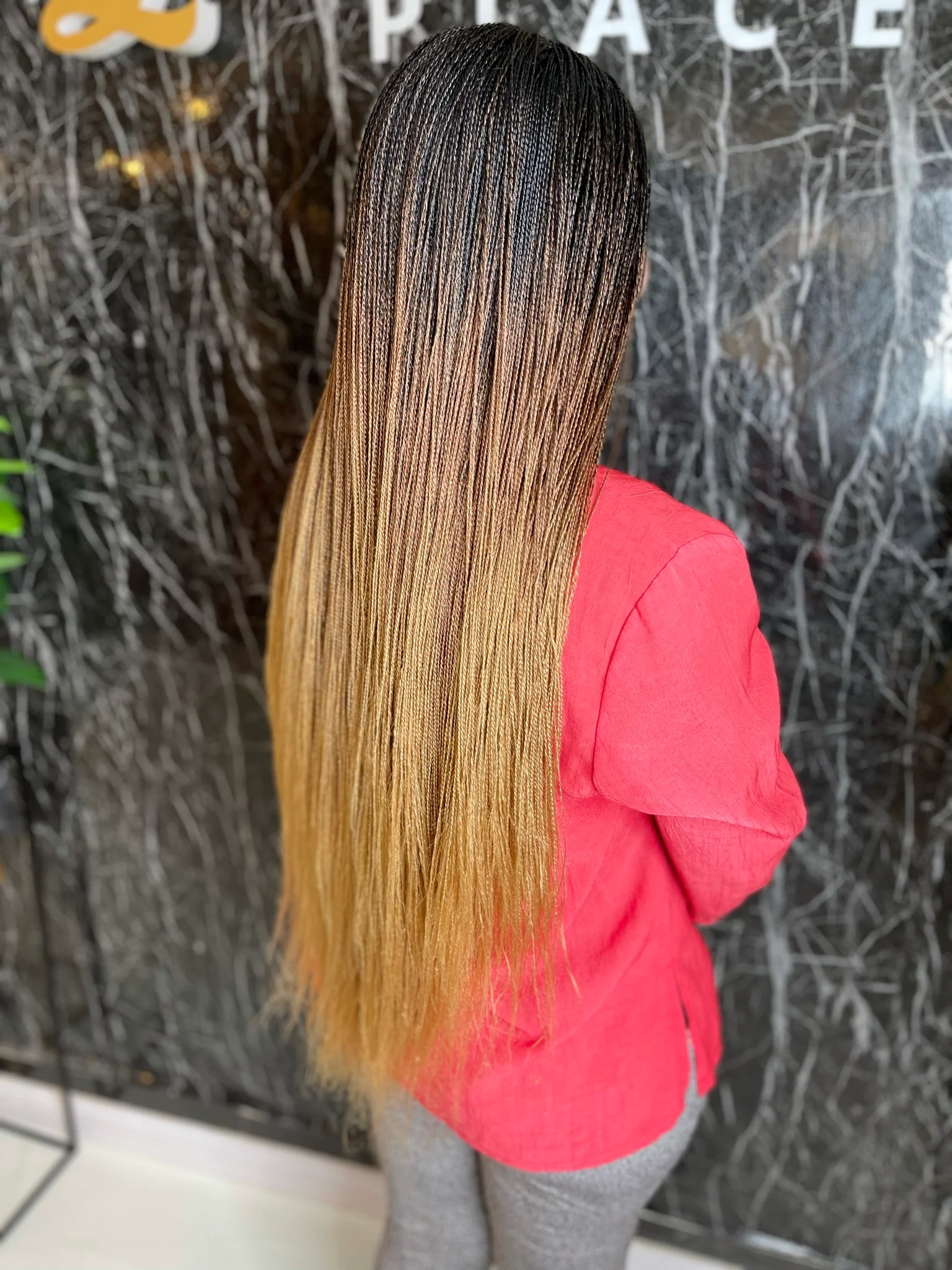 Ombre Micro Twist Braid Wig - Mose Wig